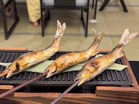 The grilled fish is nice