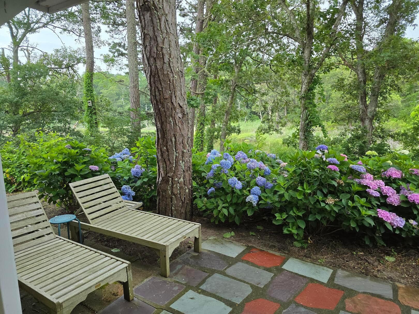 So relaxing to read and relax in this beautiful spot.