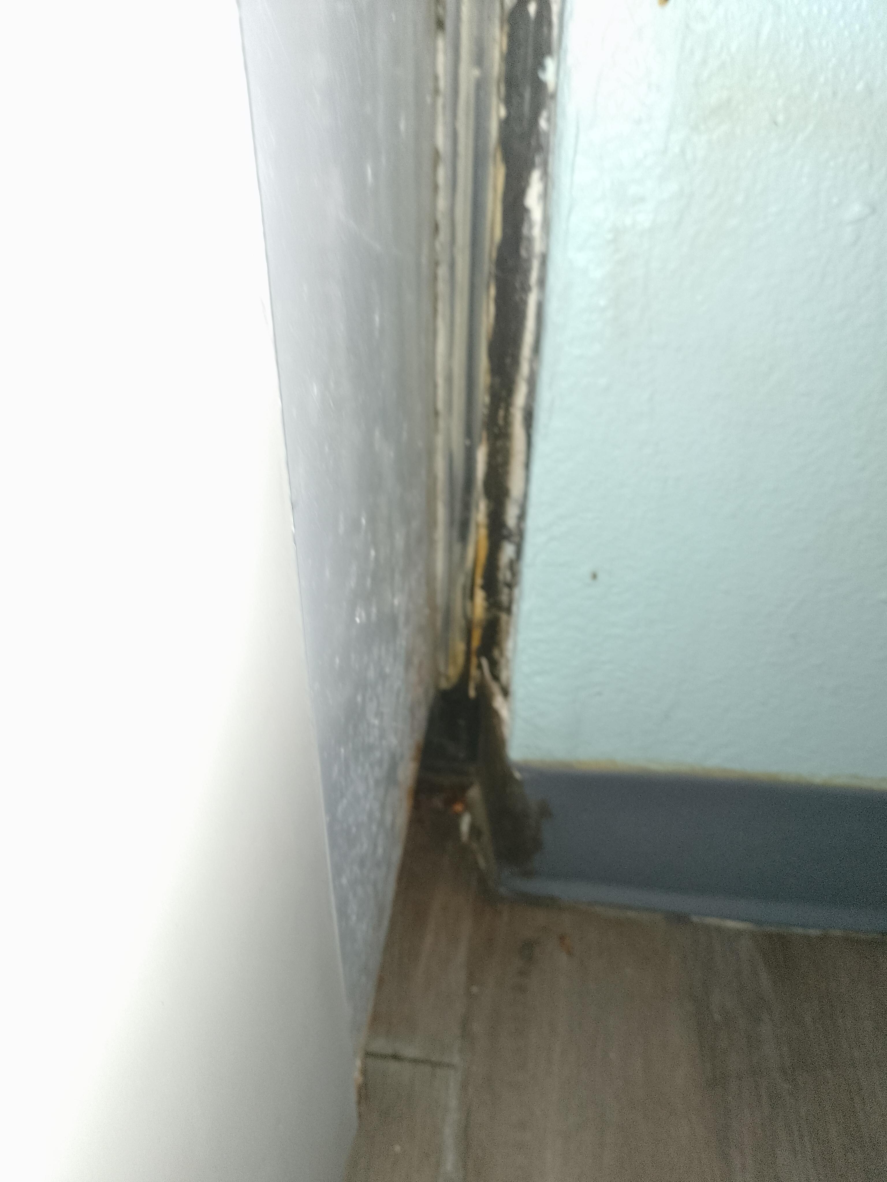 Mold around A/C unit