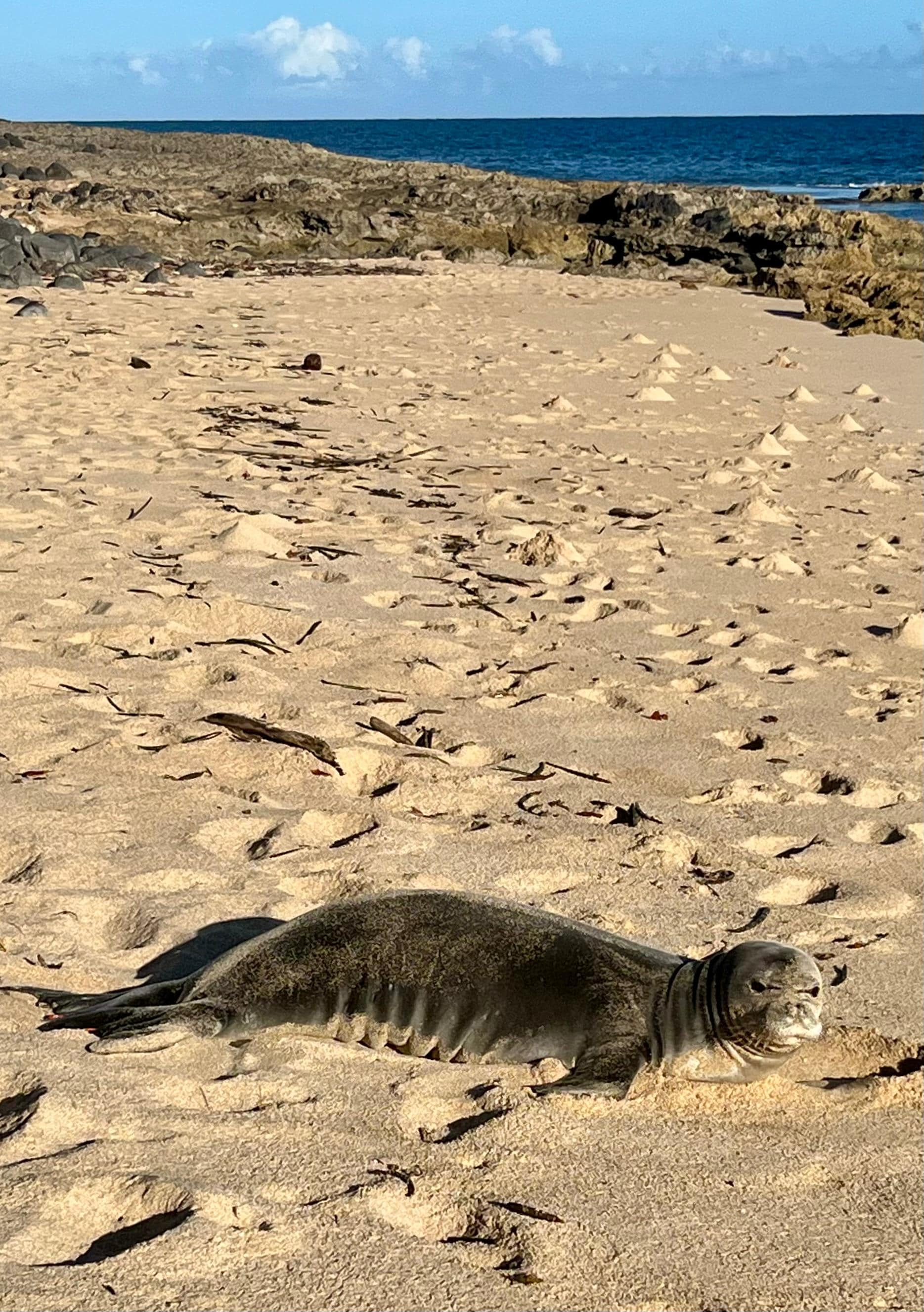 Ka ena point is a must when staying here.