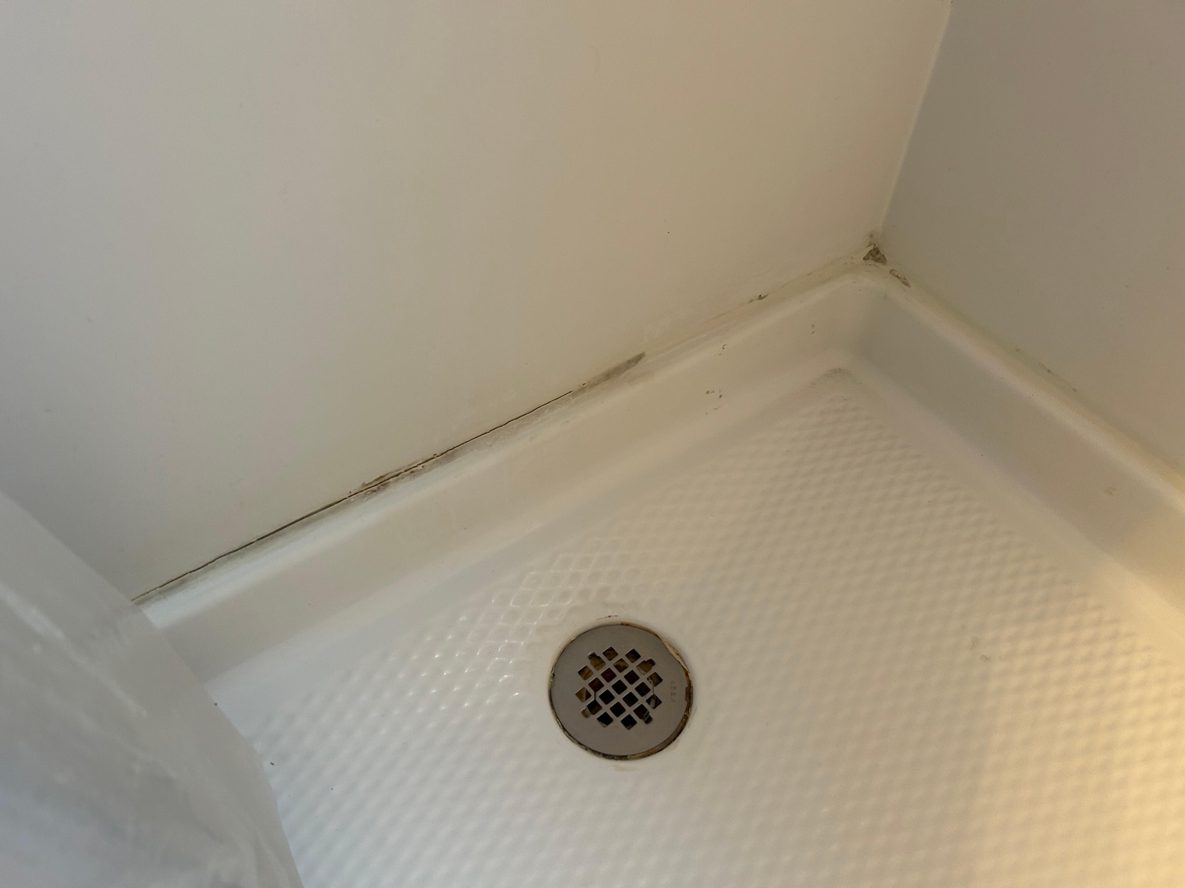 mold and mildew in shower 