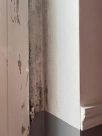 The black mould on the wall which you see when you pull the curtains right back.