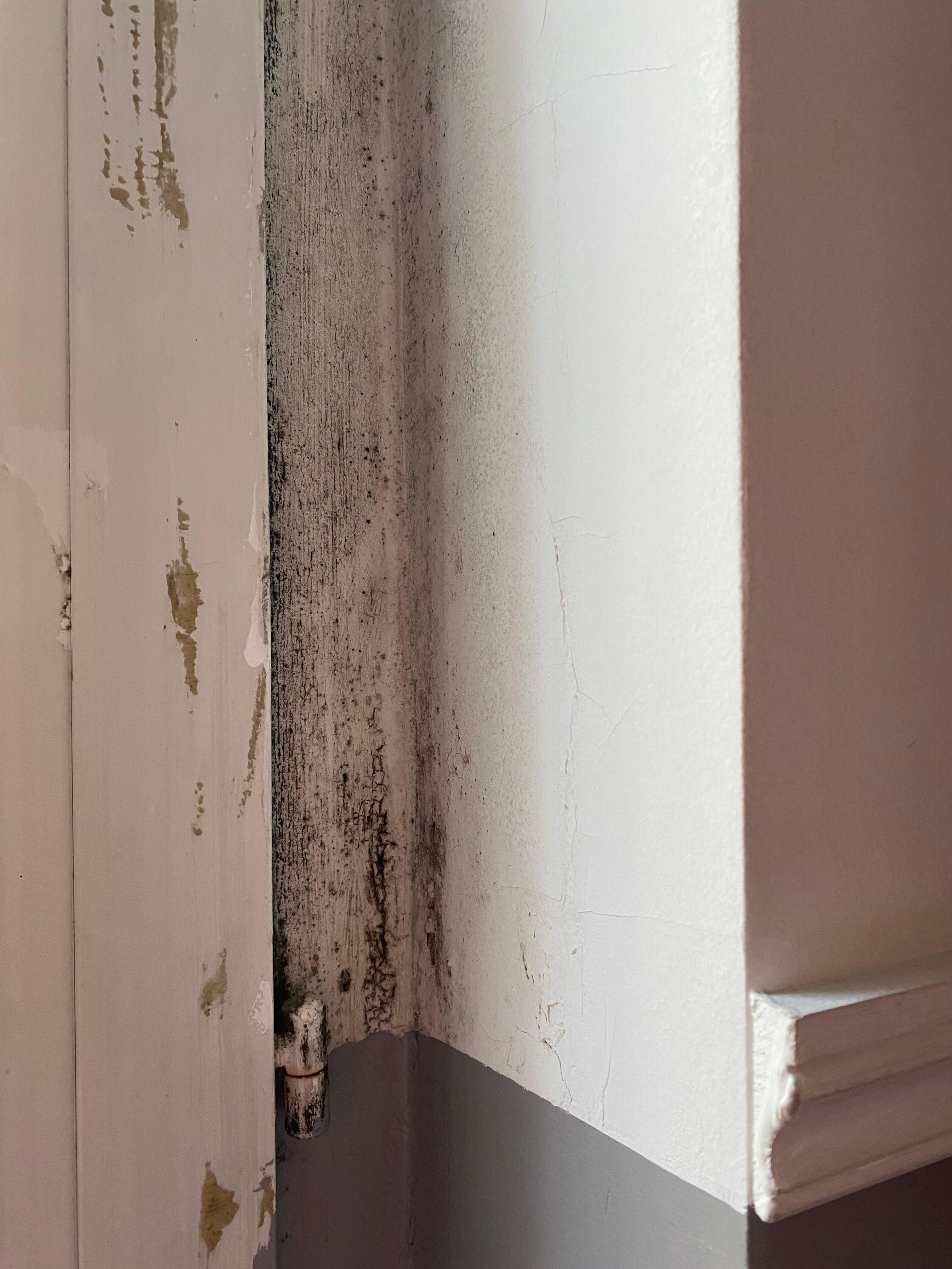 The black mould on the wall which you see when you pull the curtains right back. 