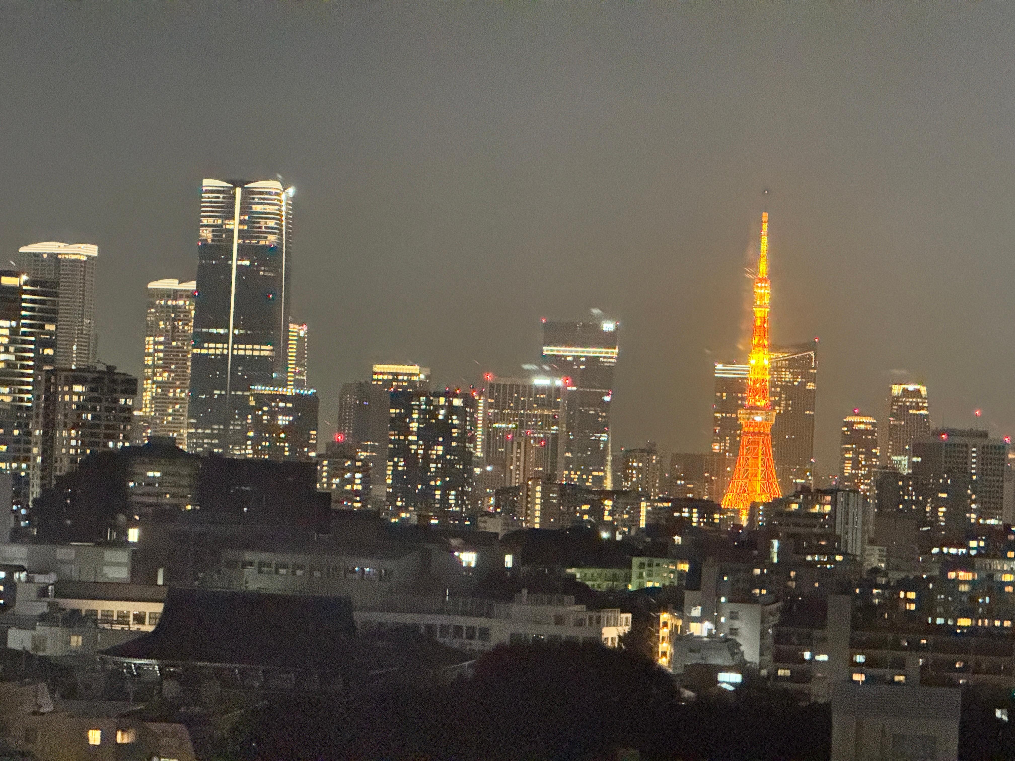 We could see Tokyo Tower from our room. 