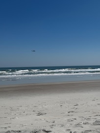 Sitting on the beach low tide