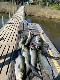 Pretty good day on the water!