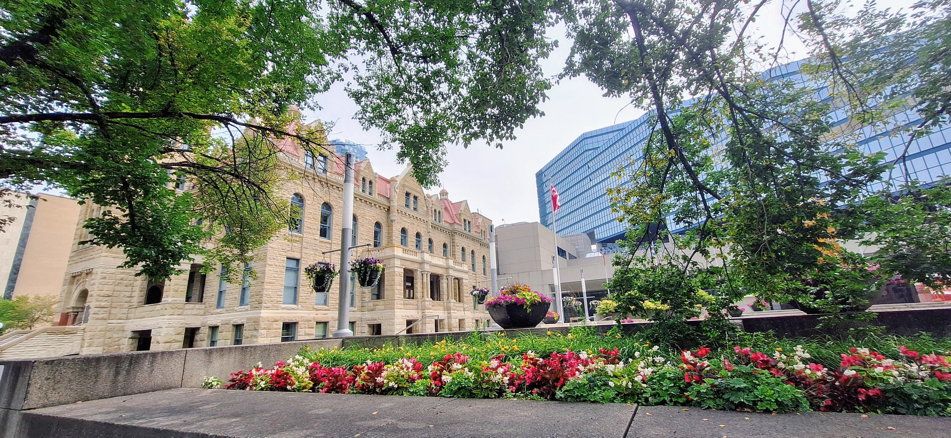 Calgary city hall
