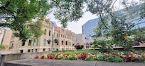 Calgary city hall