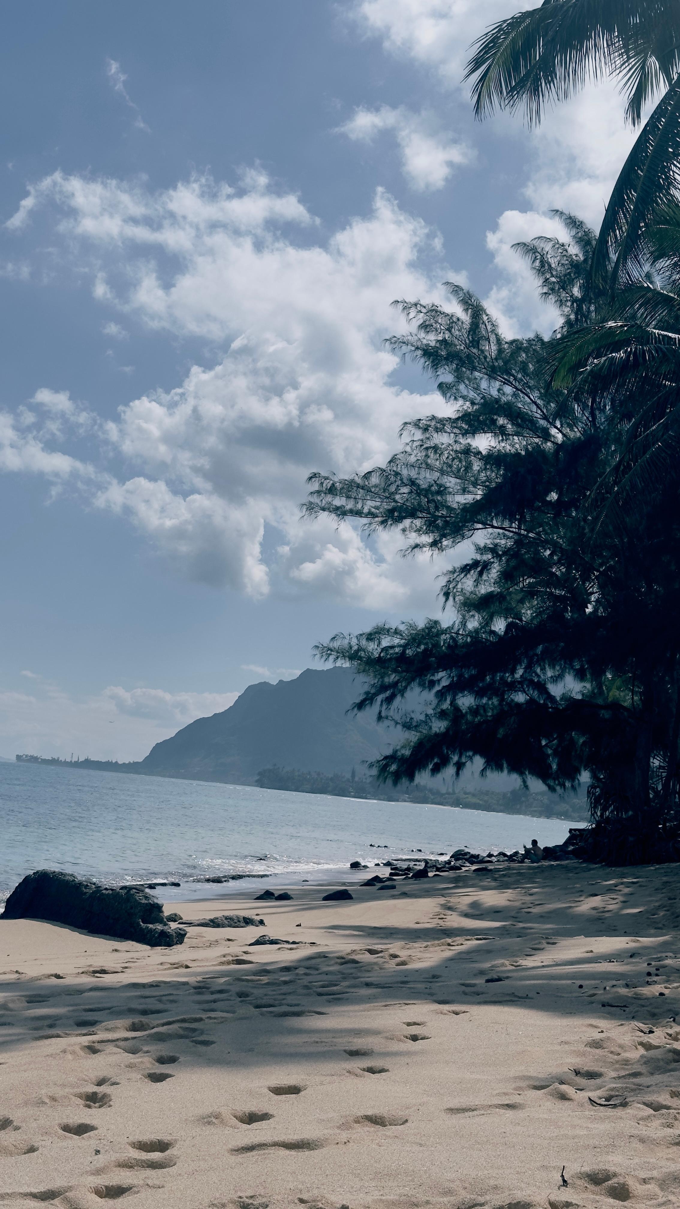 Looking south on our private beach. 