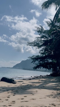 Looking south on our private beach.