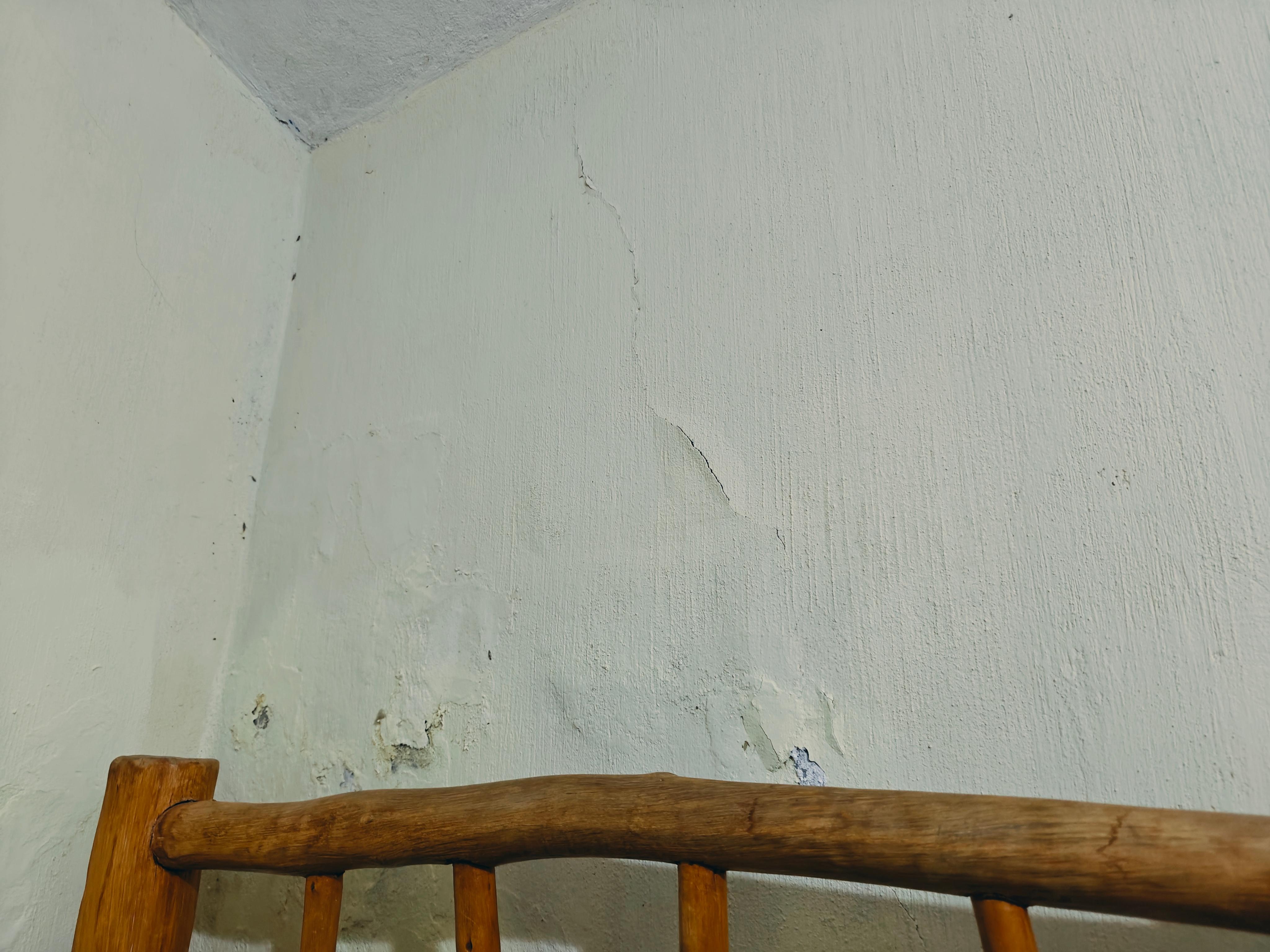 Mold they tried to paint over