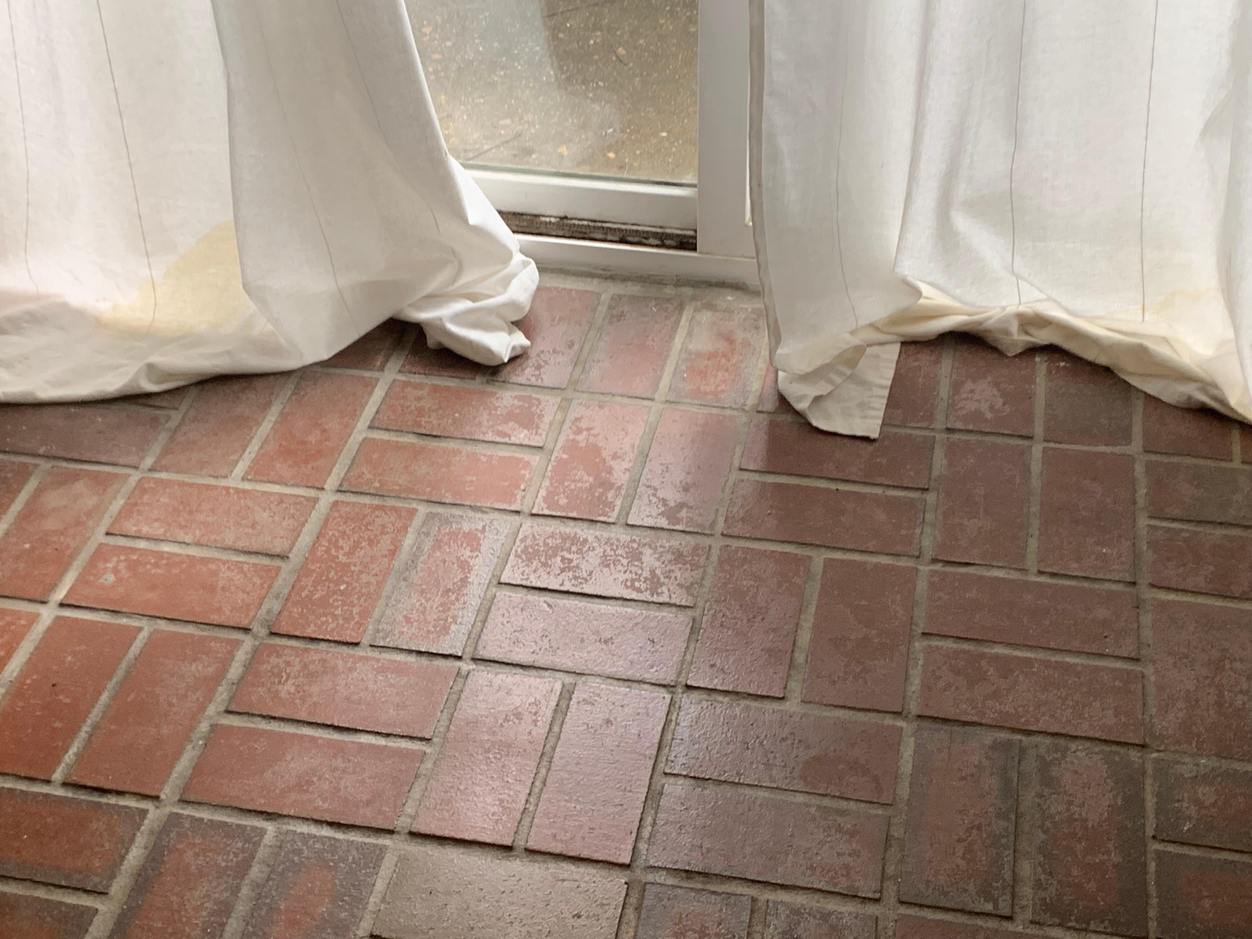 Dog pee on nasty curtains