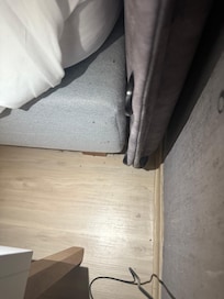 Bed bugs everywhere