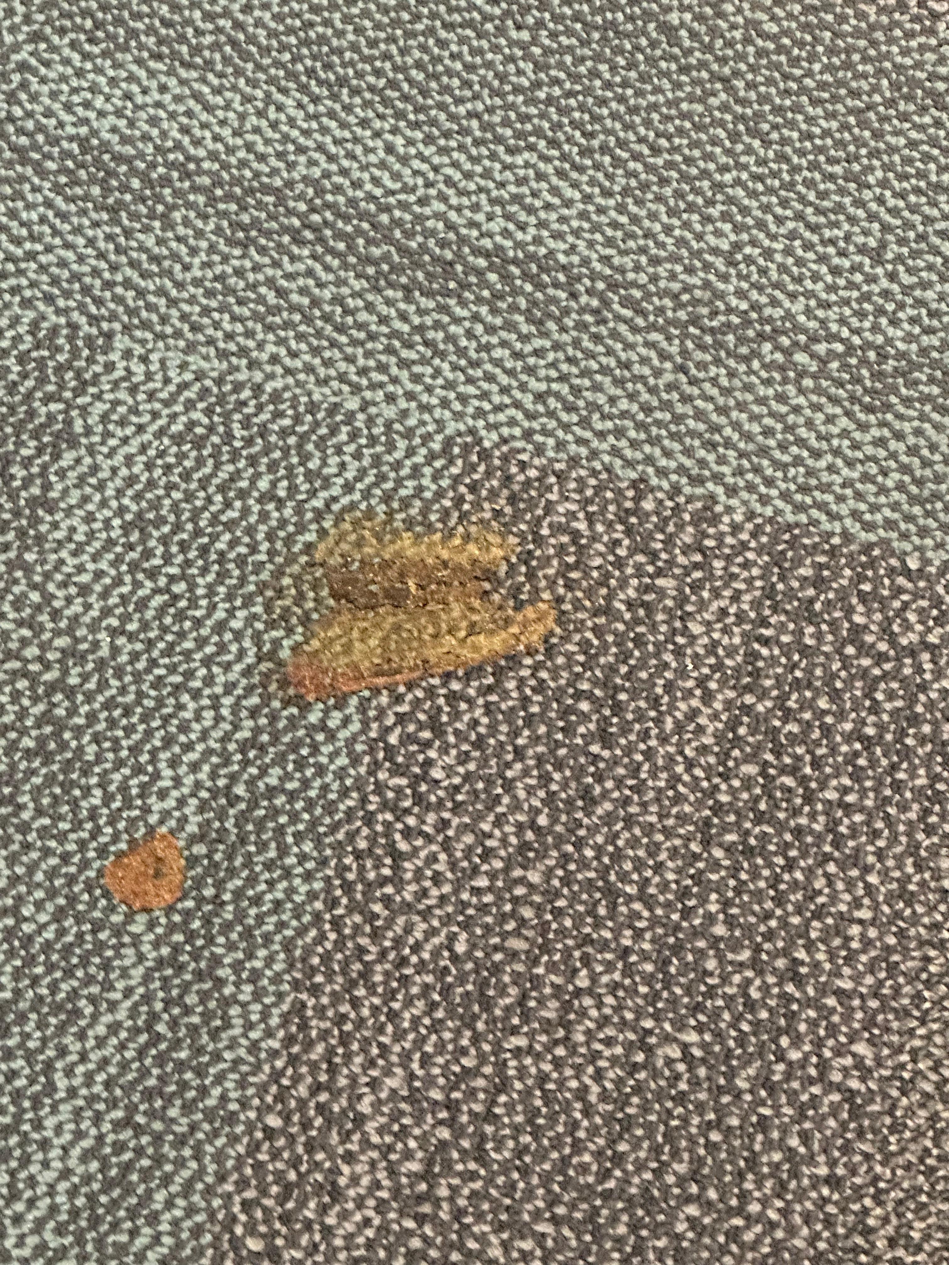 Someone who lives on the 3rd has a dog and lets him do his necessities on the hallway.. poop and pee all down the hallway. I have a video too