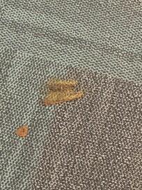 Someone who lives on the 3rd has a dog and lets him do his necessities on the hallway.. poop and pee all down the hallway. I have a video too