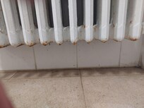 Chauffage dans la douche