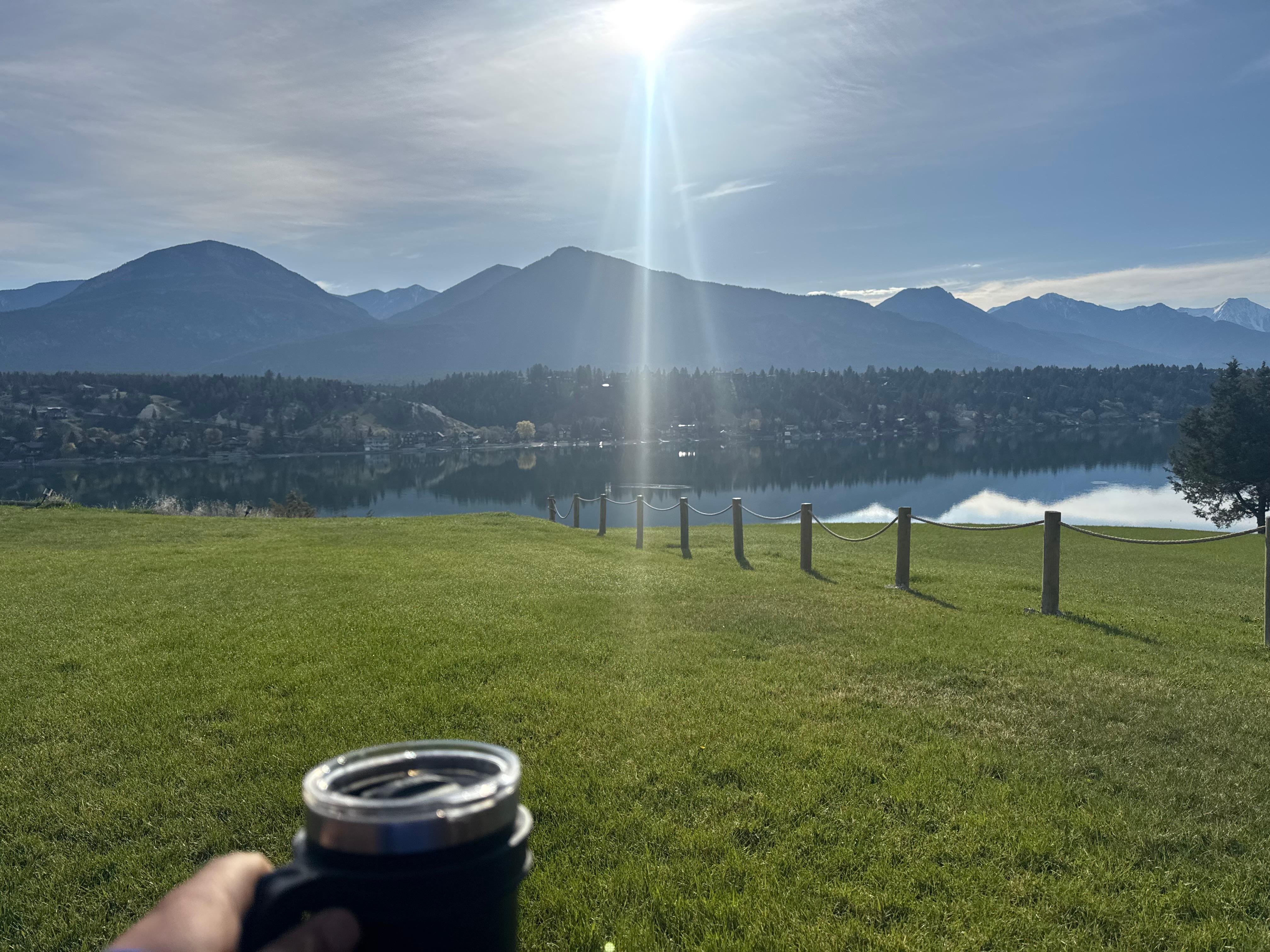 Morning coffee from the back yard 