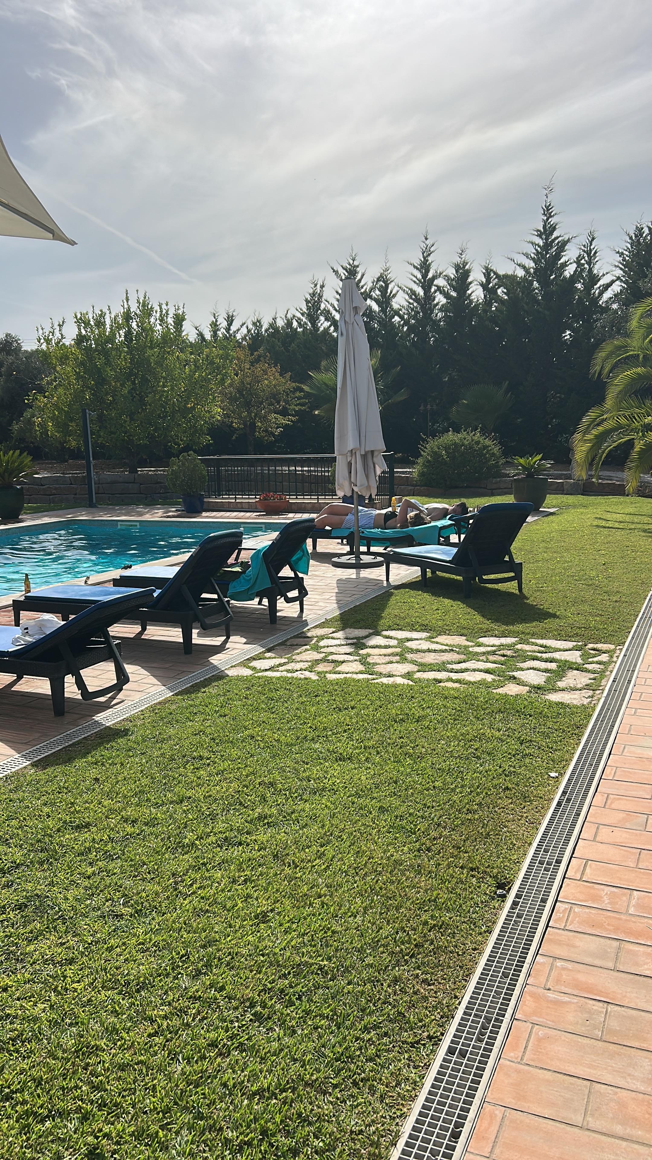 And lovely in the sunshine