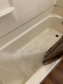 Tub filthy with ants crawling in it.