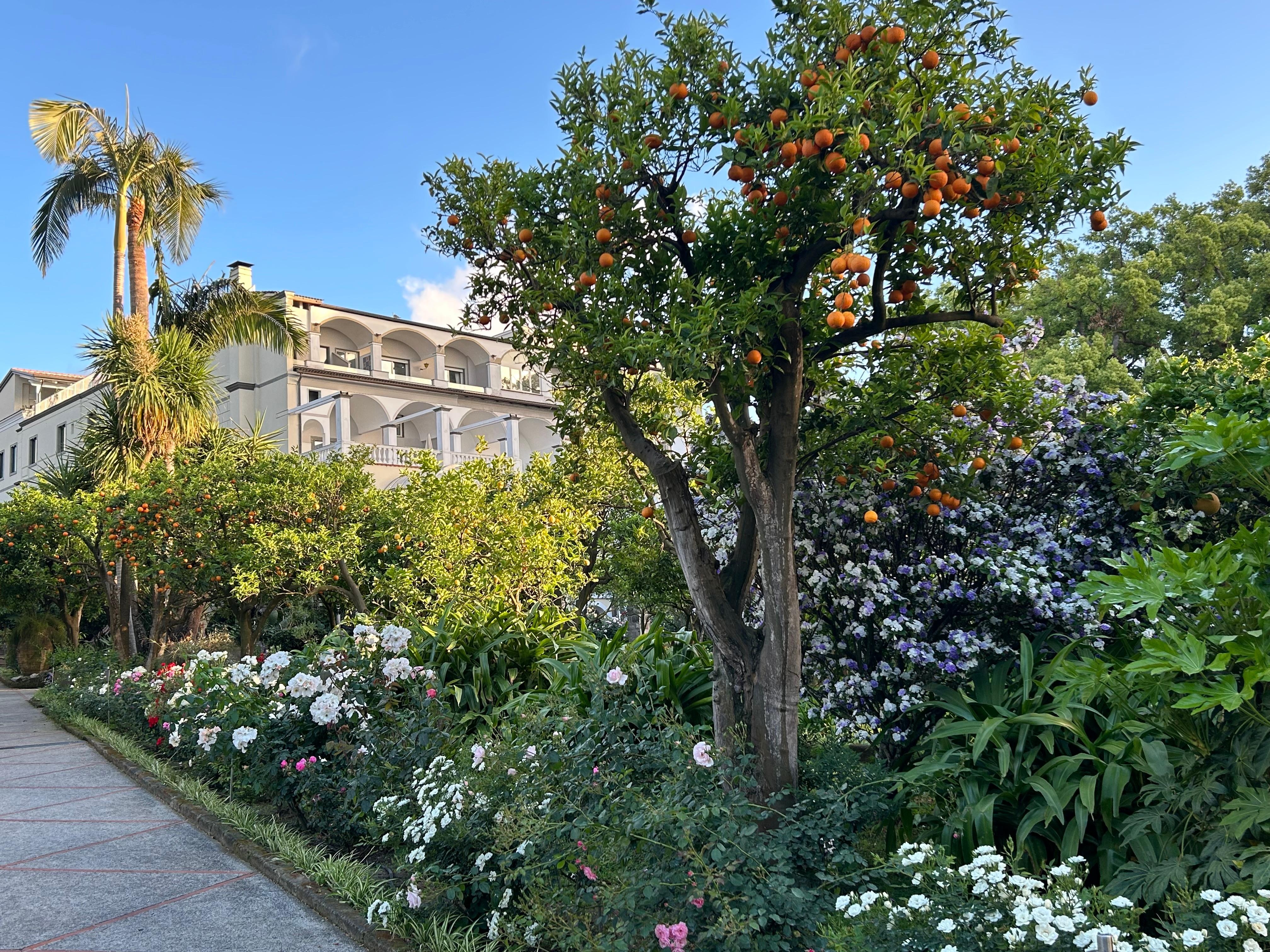 Lovely grounds