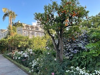 Lovely grounds