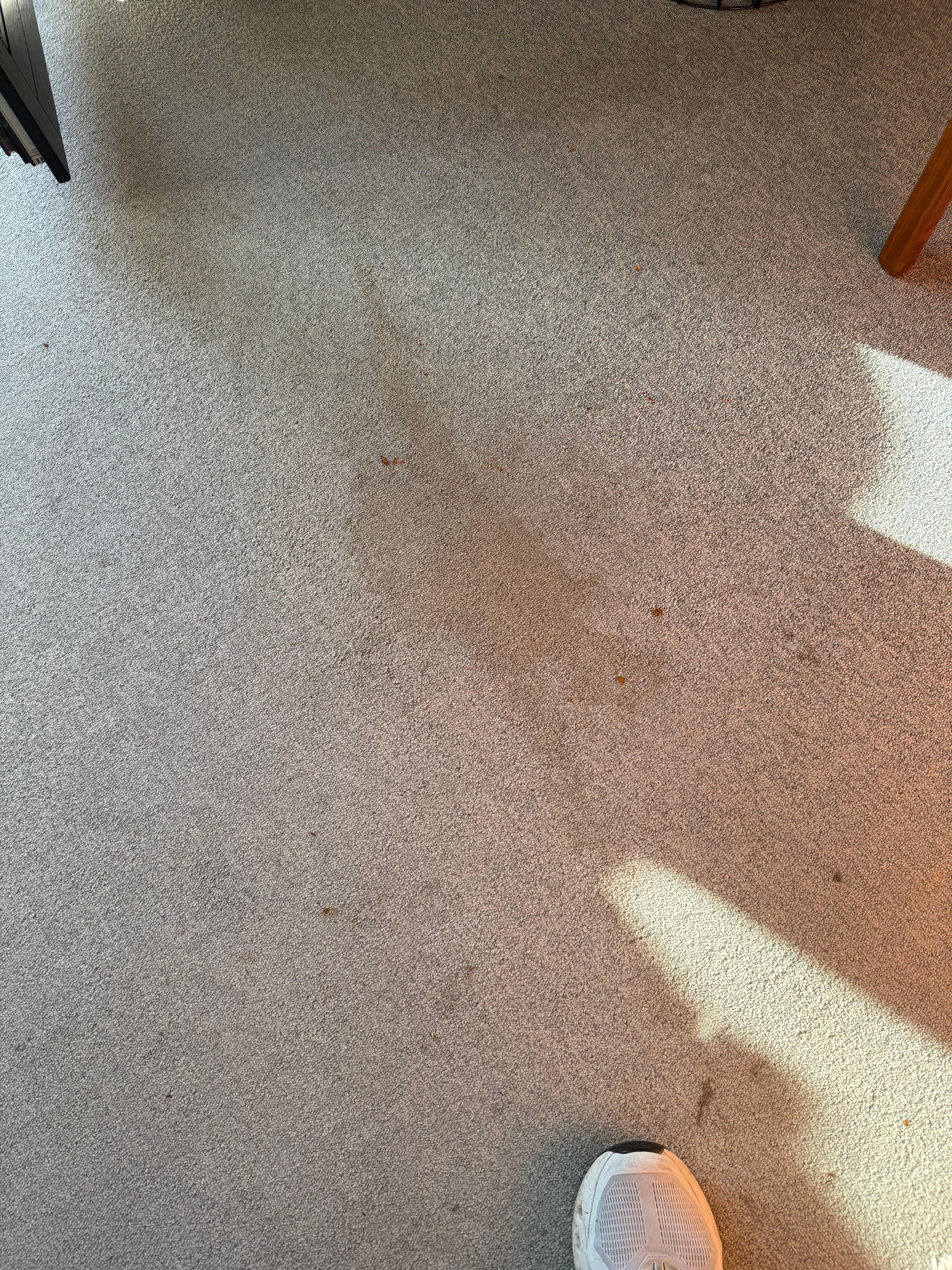 Teppich im Wohnzimmer 