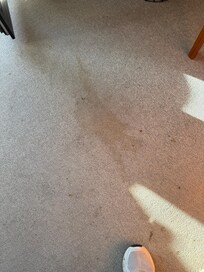 Teppich im Wohnzimmer