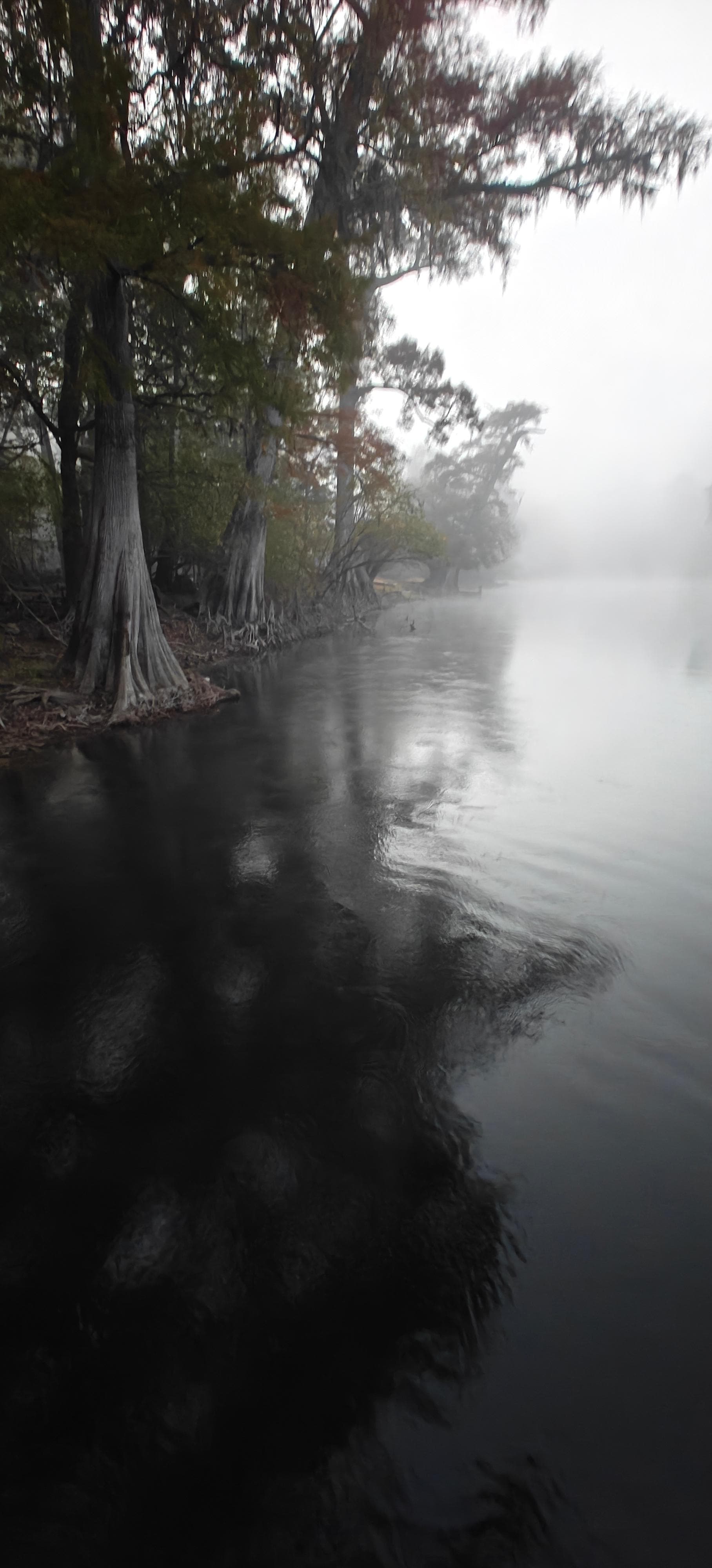 View from the dock early morning 