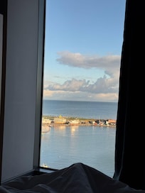 The view from my bedroom