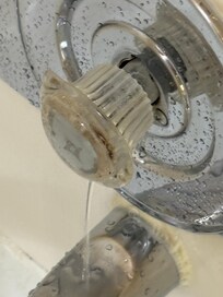 Water leaking in the shower