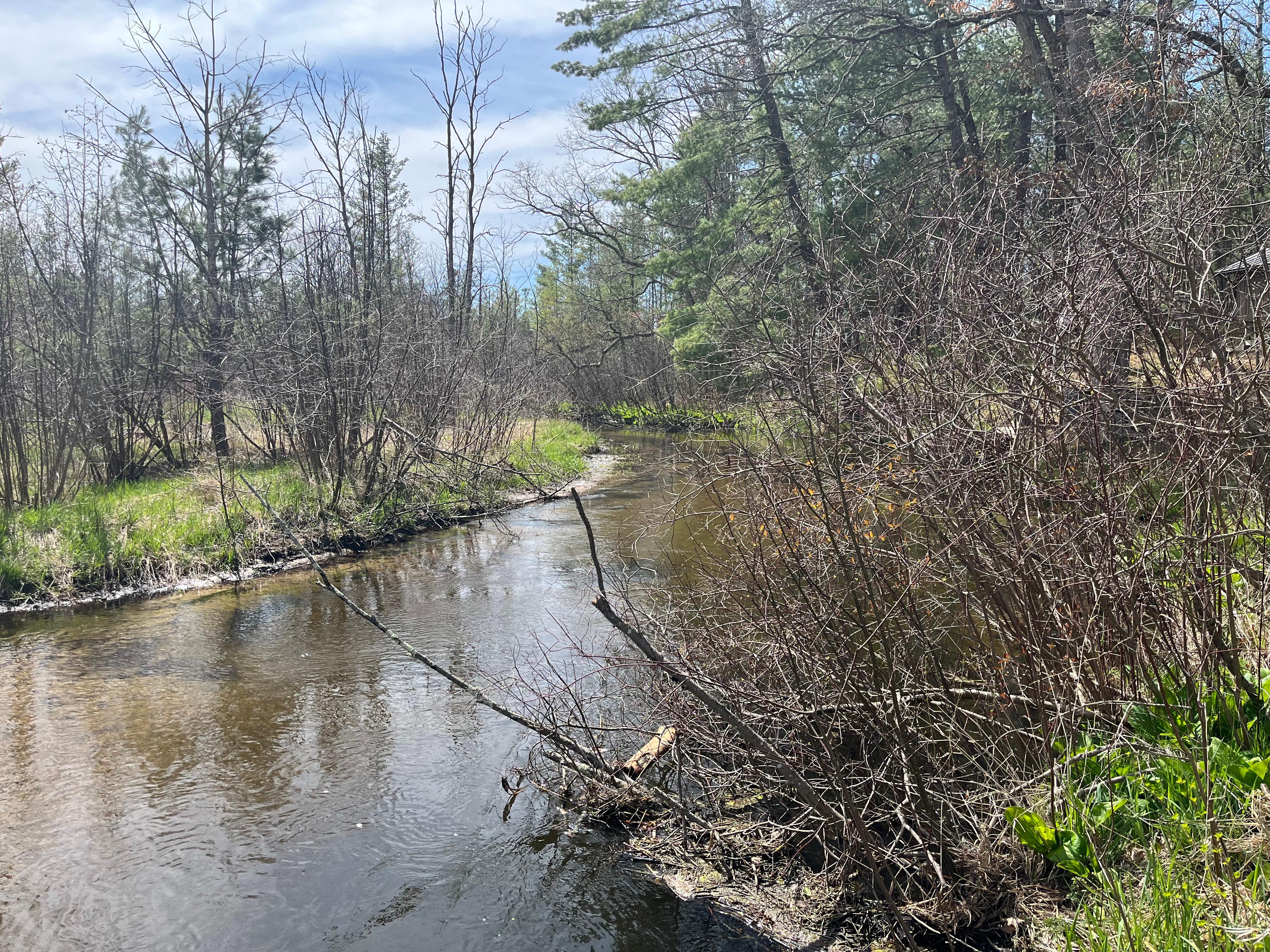 River view