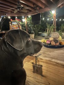 Ultra nice patio for chilling out.