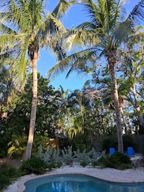 Backyard paradise