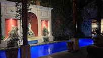 Night view of the garden