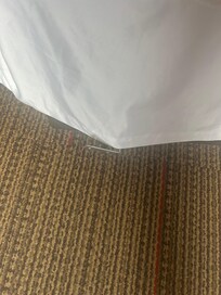 These were visibly sticking out from the mattress