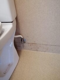 Badbereich Toilette