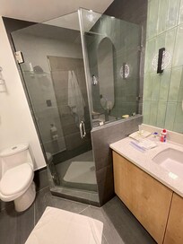 Remodeled Bath and Shower