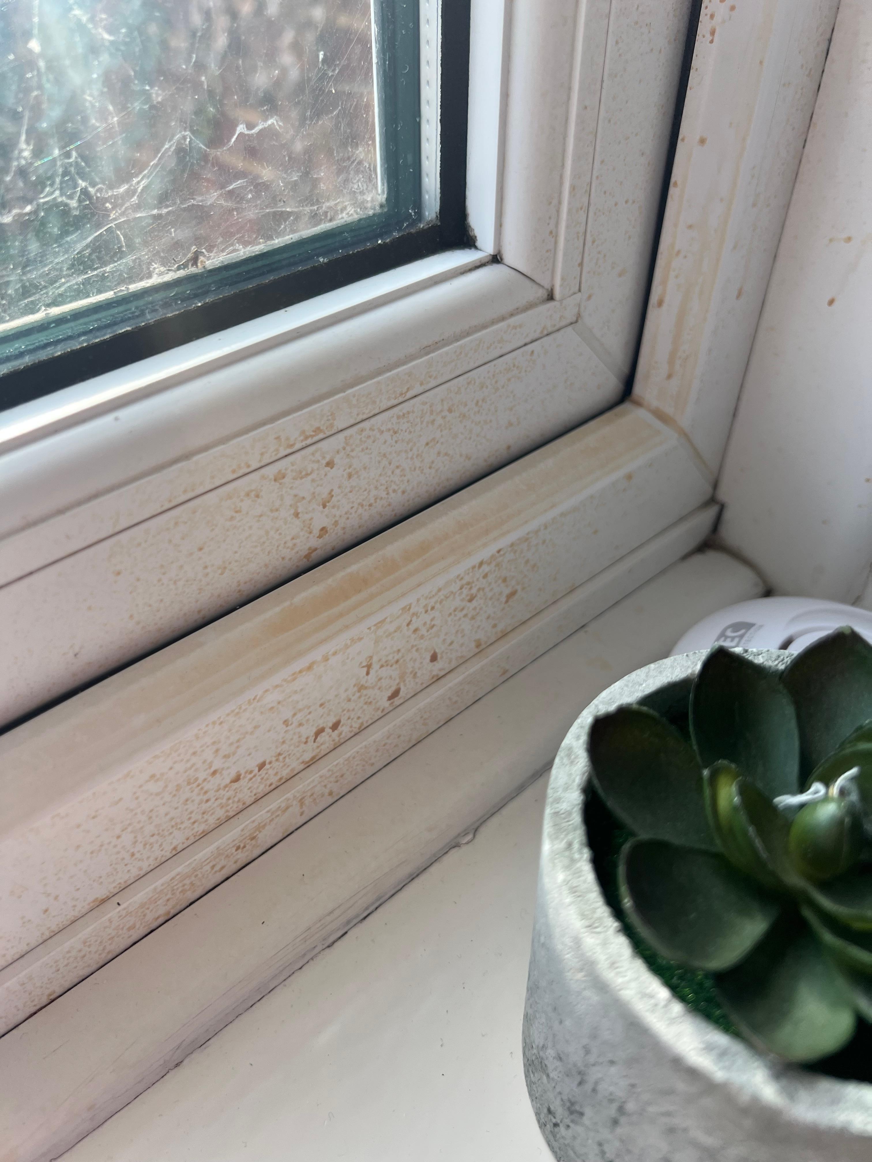 More stains