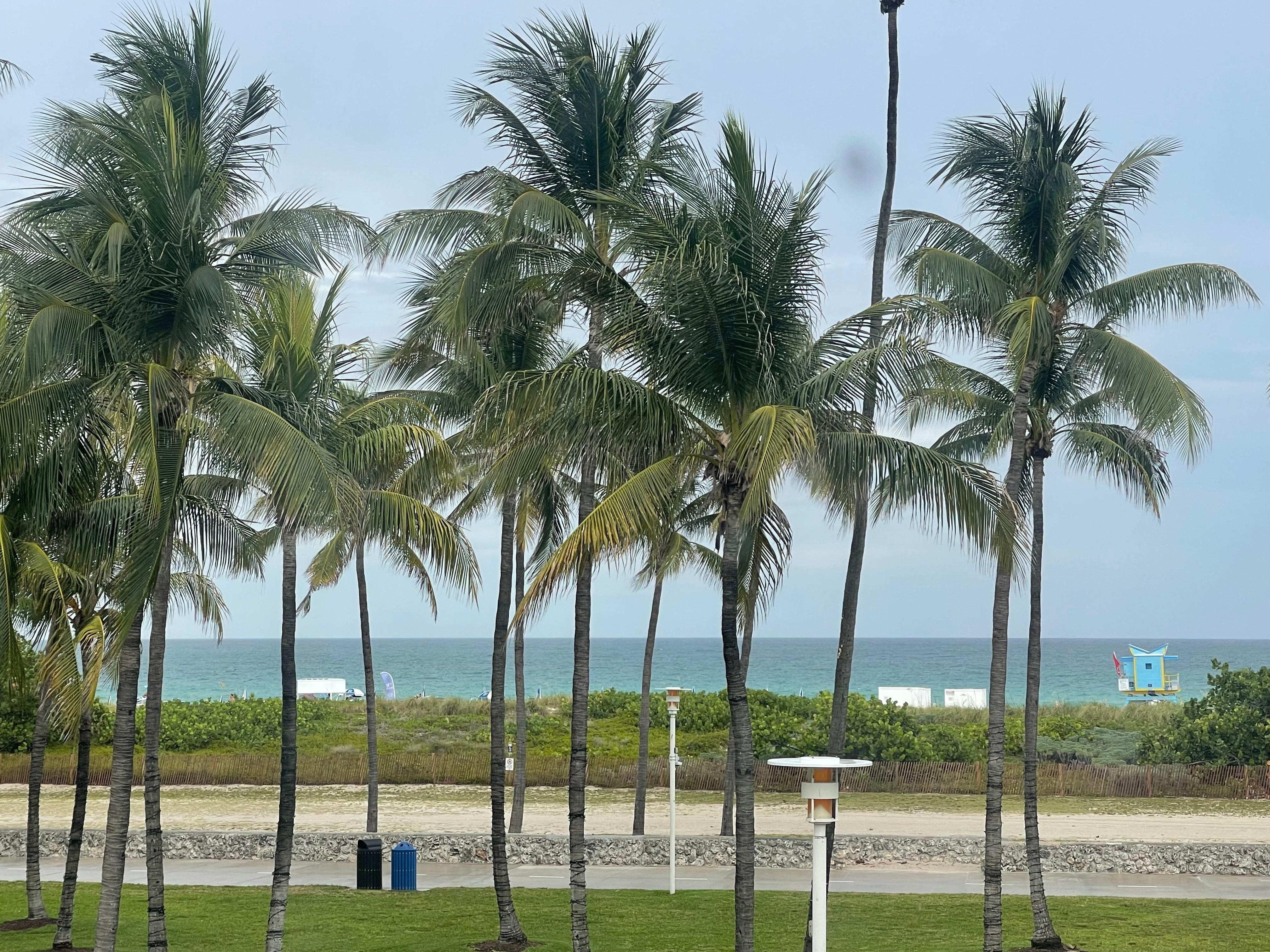 View from my rooms window