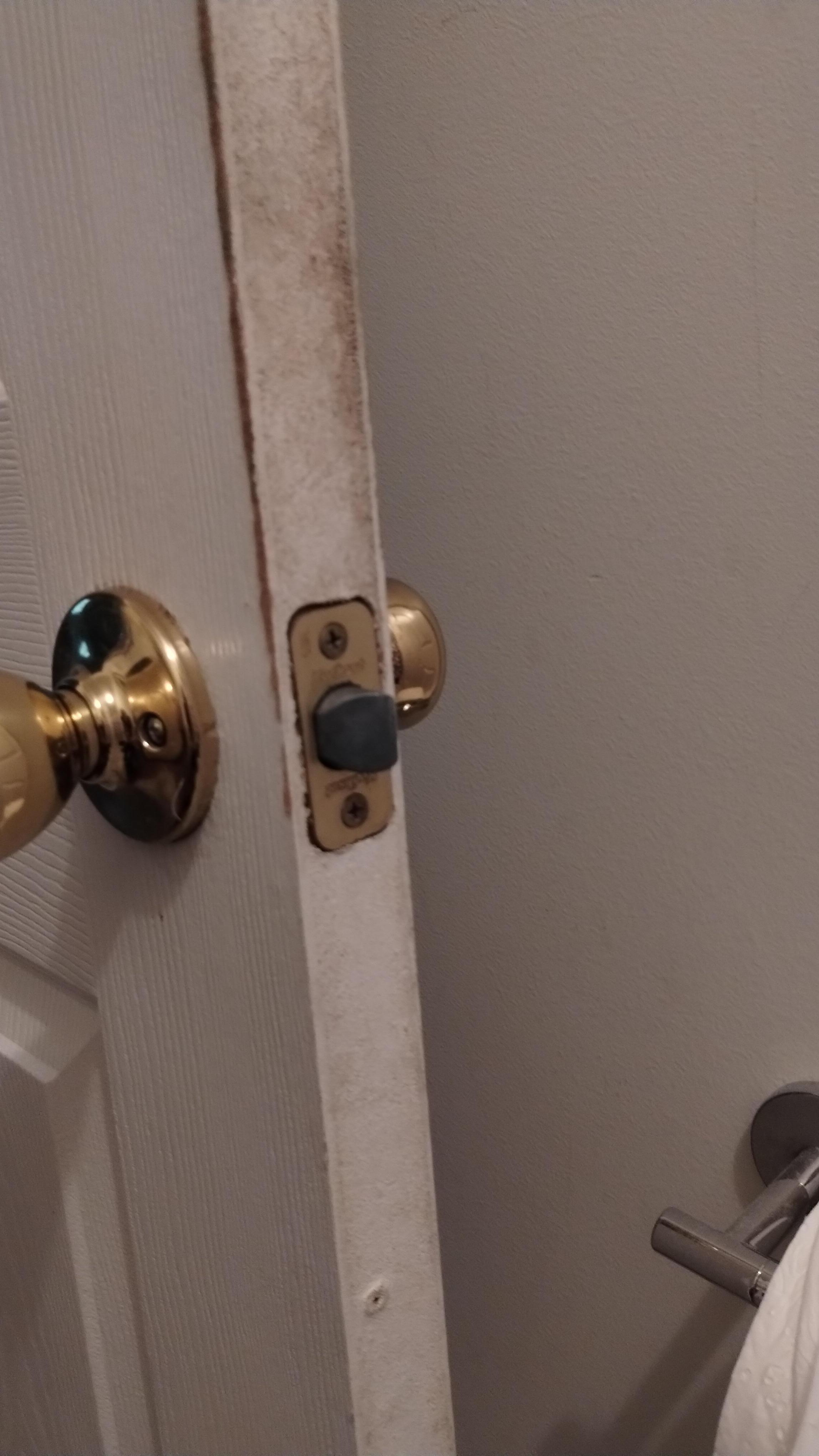 Bathroom door