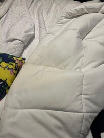 Nasty bed sheets provided