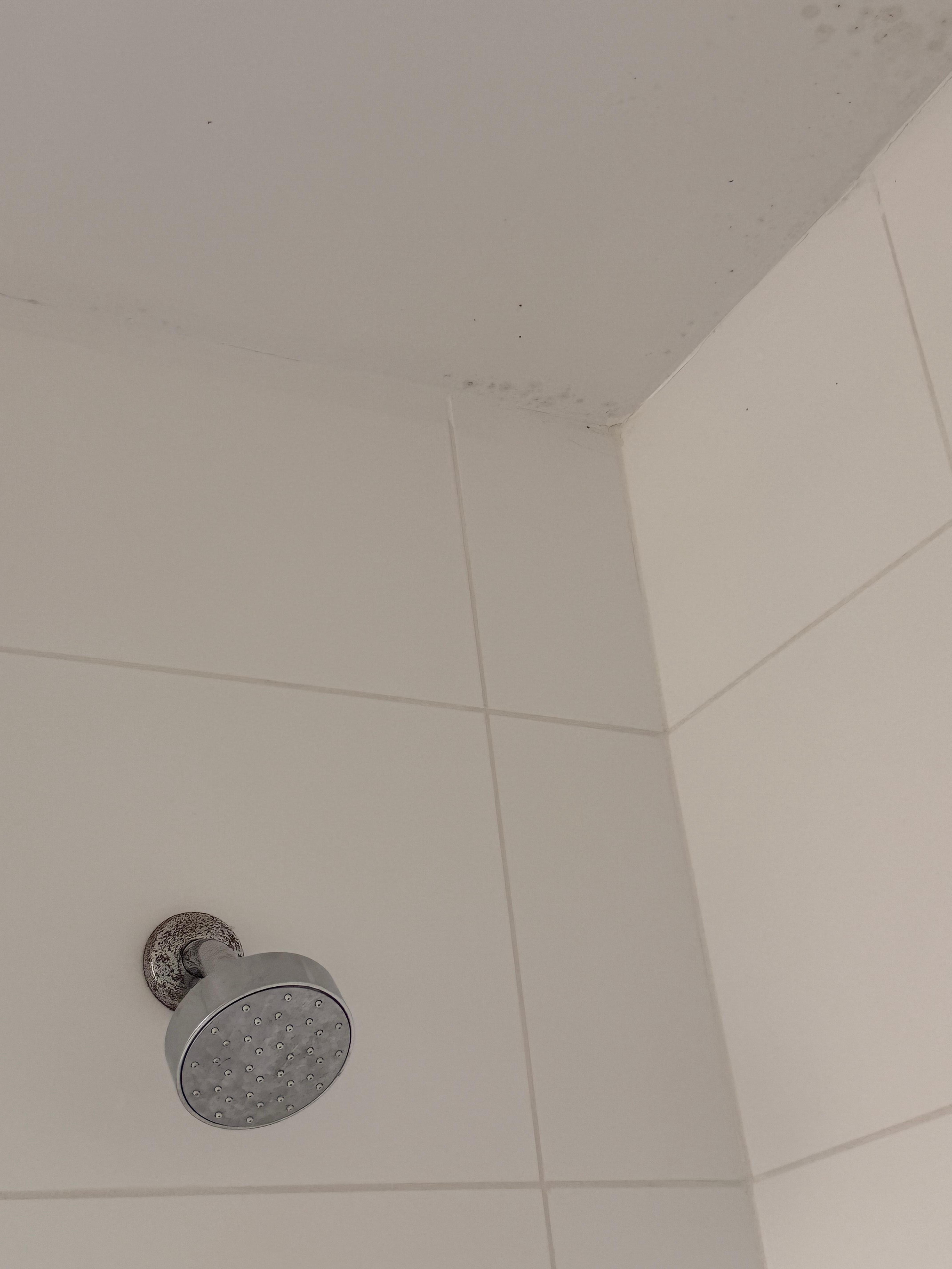 Mold on shower ceiling