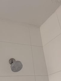 Mold on shower ceiling