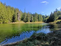View of the inlet