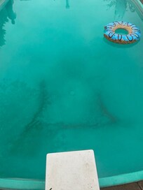 Standing on the diving board looking at the dirt on the bottom of the pool