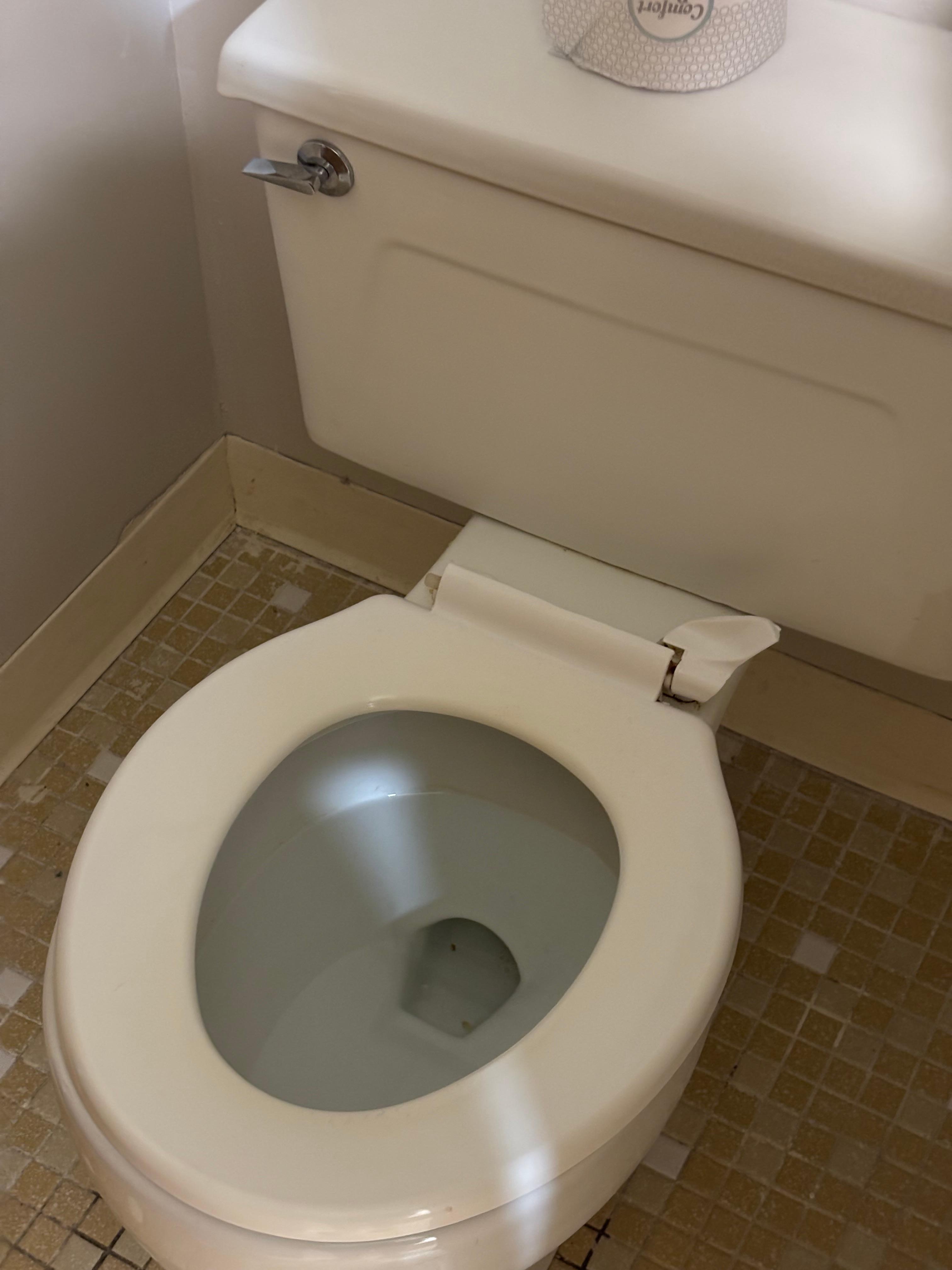 Broken toilet seat