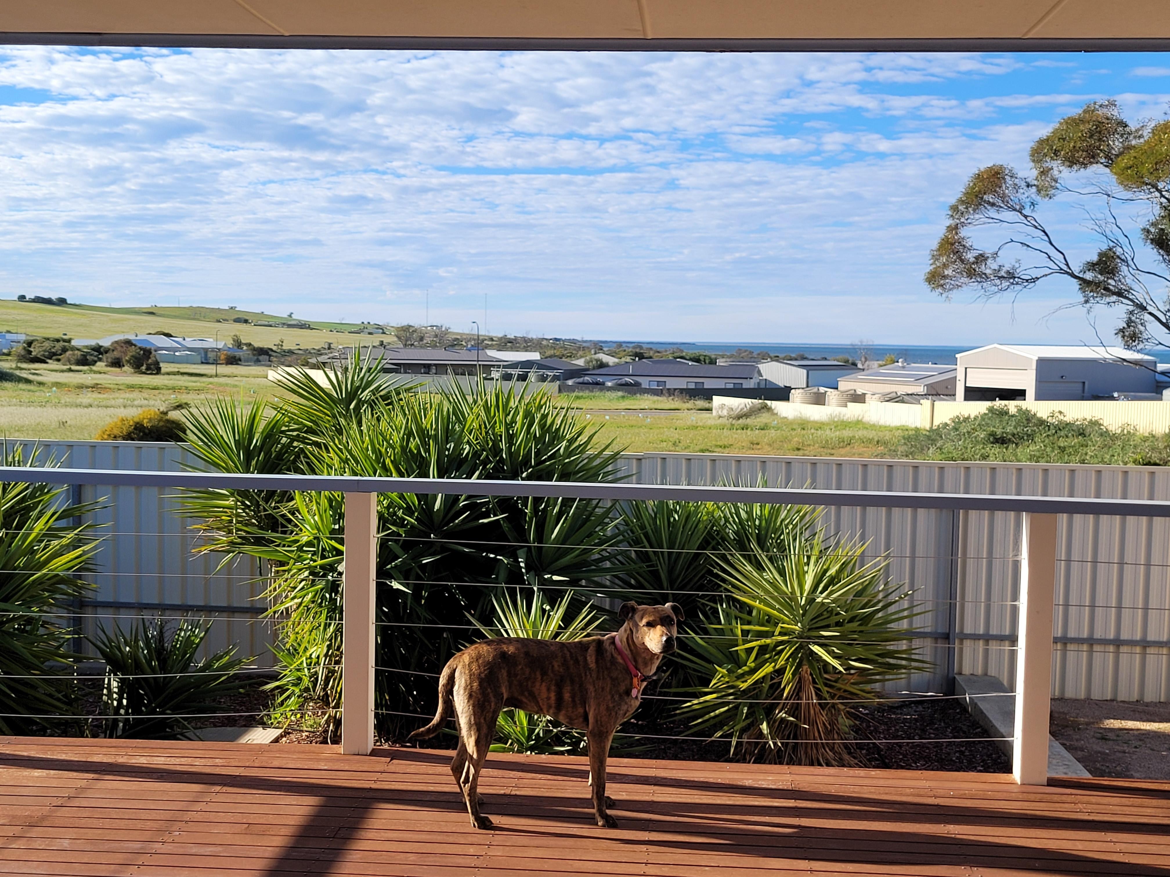 Looking over the deck to the hills and ocean.