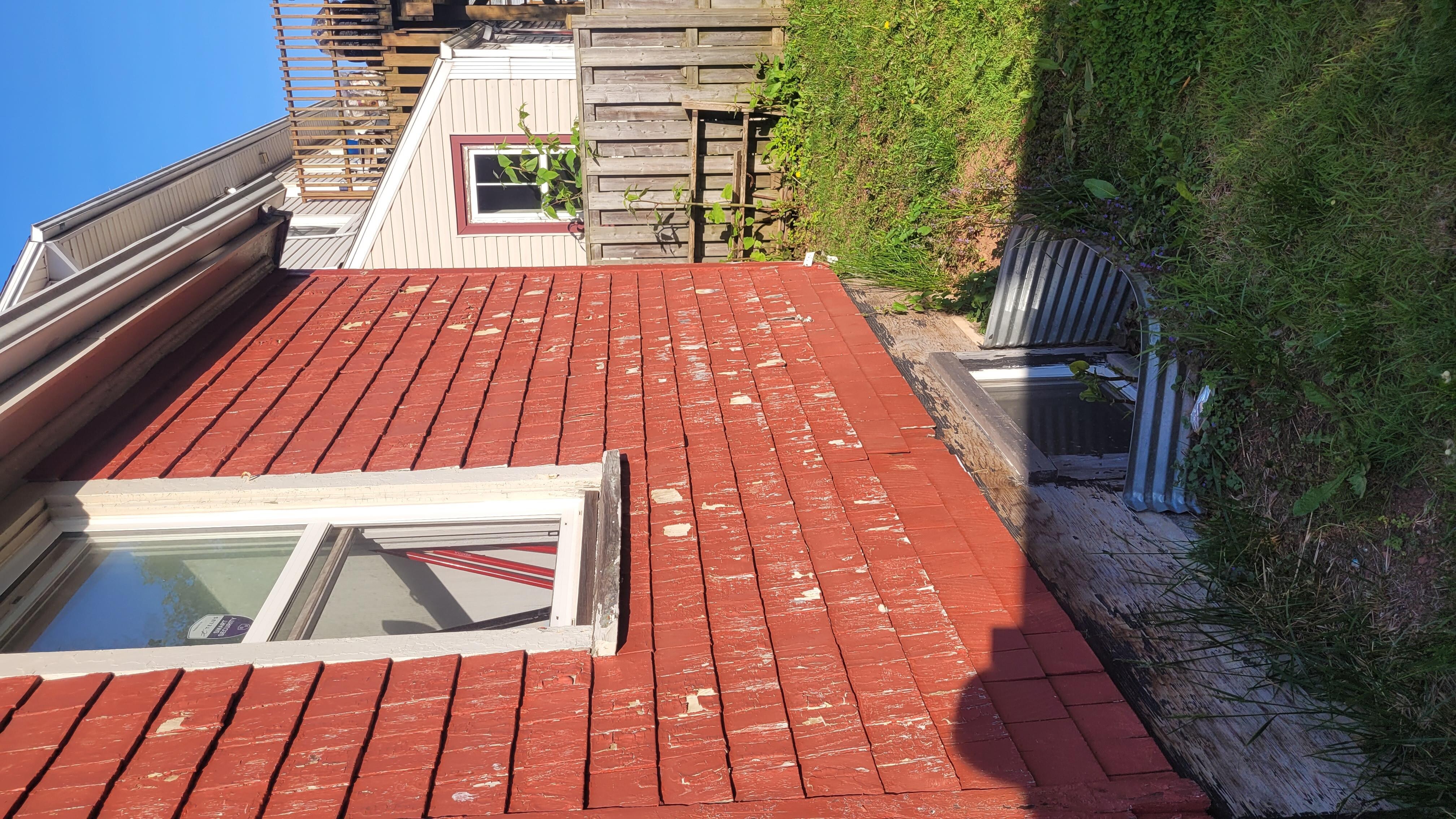 The back "garden"
