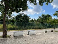 Area where dogs do their business