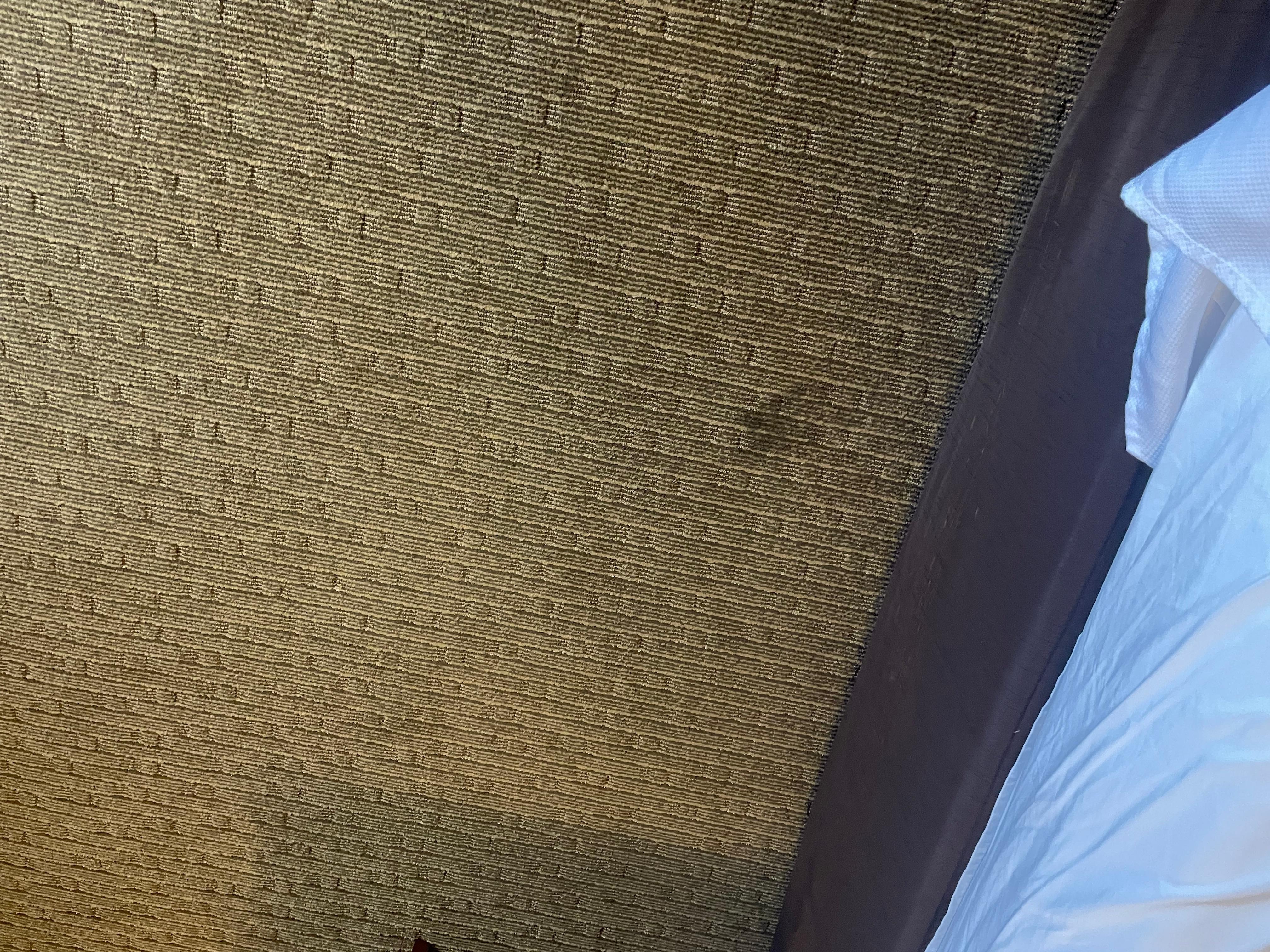 Carpet next to the bed stained